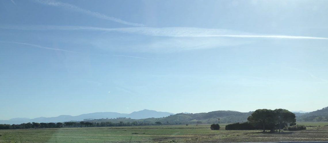 E475736A-1E09-428D-9D84-63D84DE00968_1_201_a